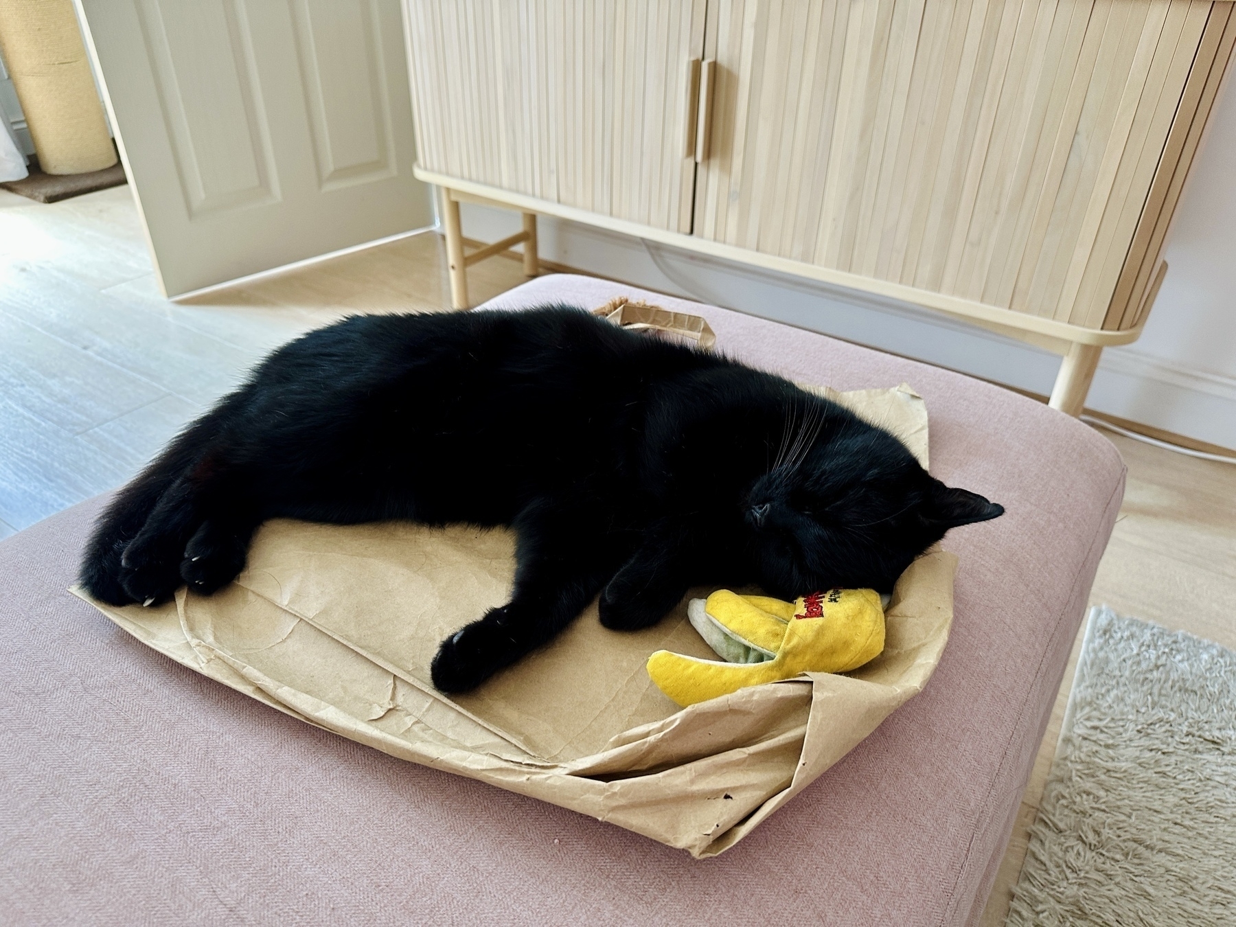 A black cat is sleeping on a cushion with a cat nip toy next to him. 