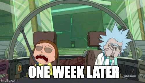 Rick & Morty meme 2/2: One week later